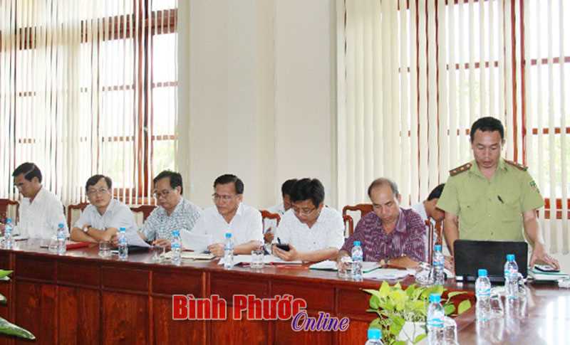 Trồng rừng thay thế trên diện tích đất bán ngập tại công ty thủy điện, thủy lợi