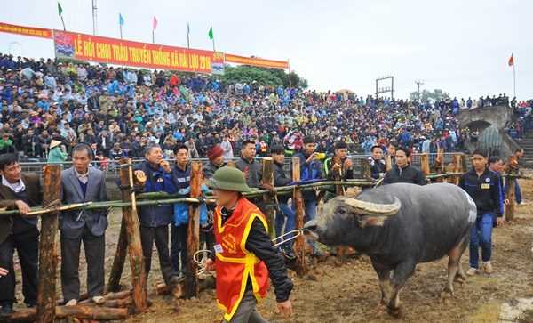 Kiểm soát hiện tượng người ăn xin đeo bám du khách tại các lễ hội