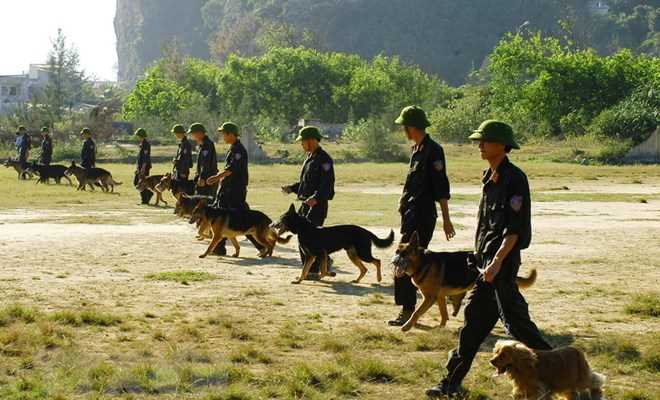 Chuyện về những "chiến sỹ" đặc biệt trong lực lượng cảnh s&aacute;t cơ động