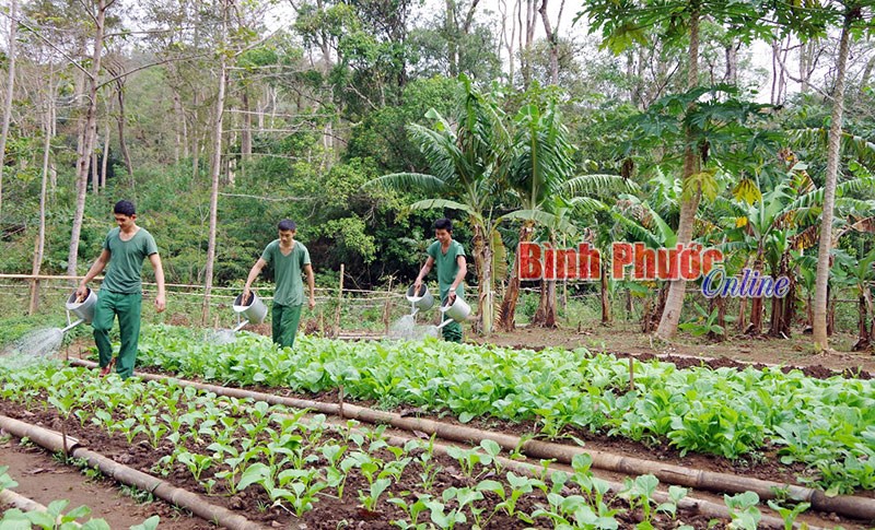 Vững v&agrave;ng nơi gian kh&oacute;
