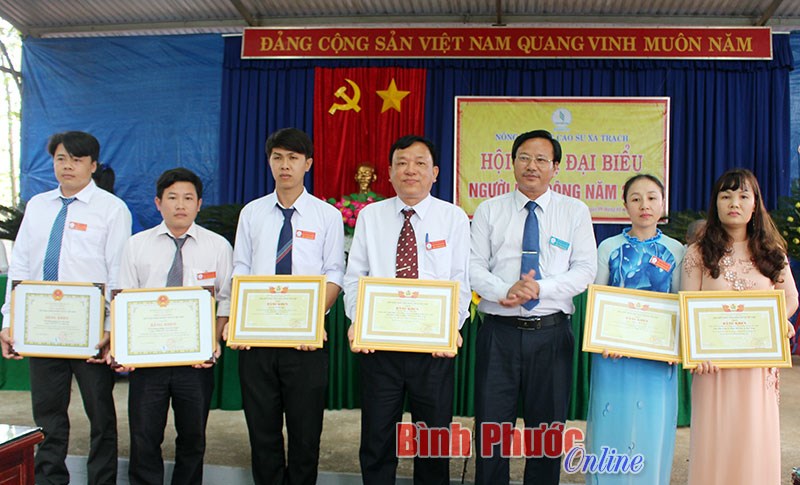 Nông trường Xa Trạch có 295 công nhân dân tộc thiểu số