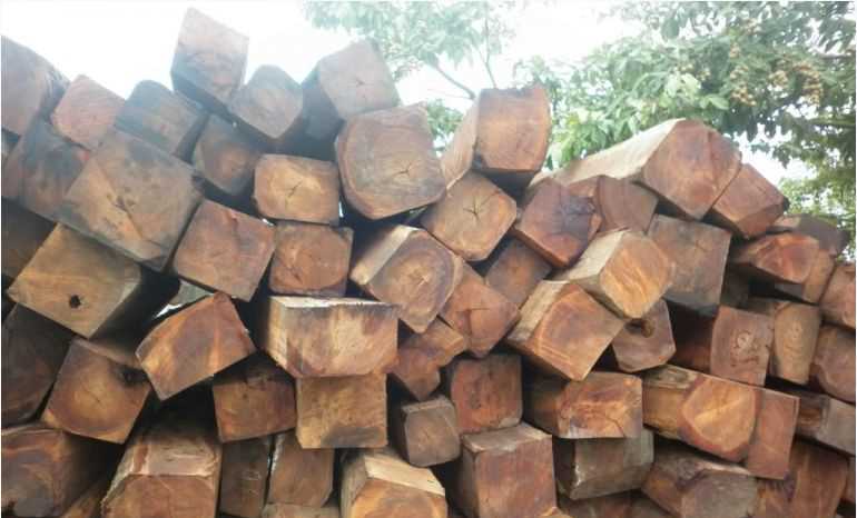 Xử lý 4 vụ mua bán, vận chuyển lâm sản trái quy định