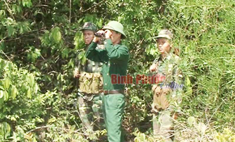 Xử l&yacute; 17 vụ vi phạm Luật Bảo vệ v&agrave; ph&aacute;t triển rừng