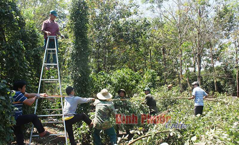 Lộc Ninh làm 52 đường nông thôn bê tông xi măng
