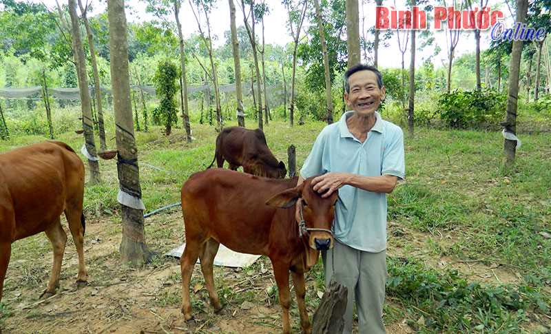 Quý 1, Ngân hàng Chính sách xã hội Lộc Ninh cho vay hơn 30 tỷ đồng