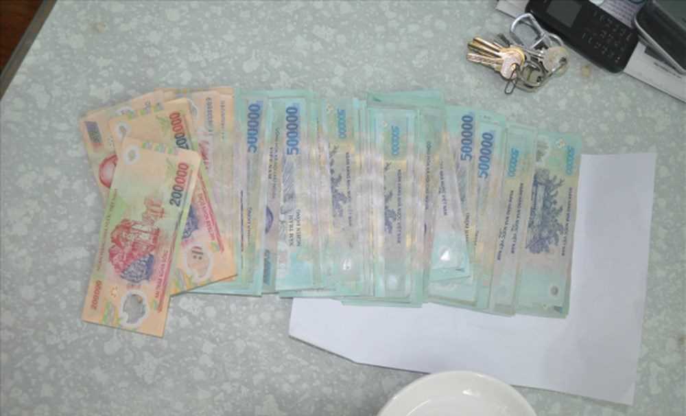 Ổ bạc trong vườn điều