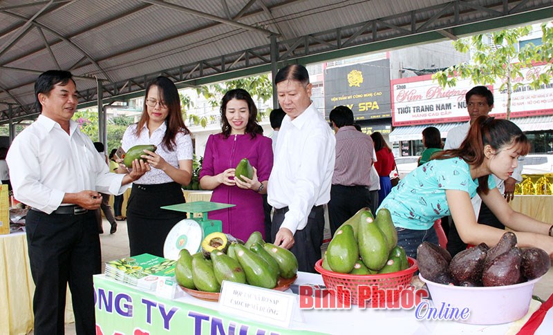 Bình Phước mùa trái chín