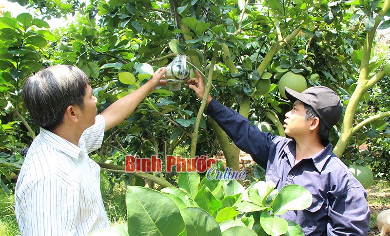 Long Giang đưa nghị quyết của Đảng vào cuộc sống