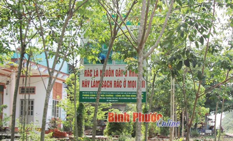 Pa-nô tuyên truyền trong vườn cao su