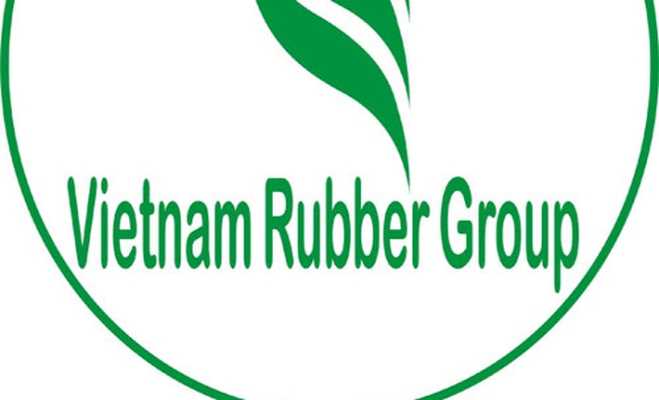 Cơ cấu cổ phần của Tập đoàn Công nghiệp cao su