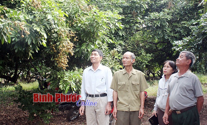 Đảng bộ xã Lộc Thái - đơn vị vững mạnh tiêu biểu