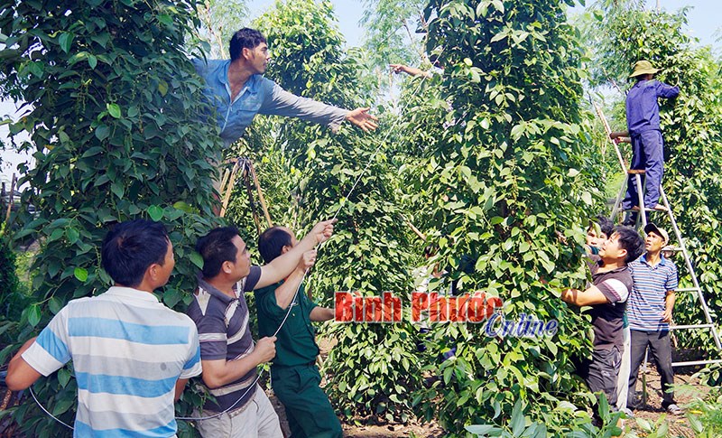 &ldquo;D&acirc;n vận kh&eacute;o&rdquo; ở Trung đo&agrave;n 717&nbsp;