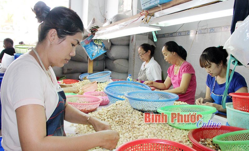 Đo&agrave;n kết - đổi mới - hội nhập - ph&aacute;t triển bền vững