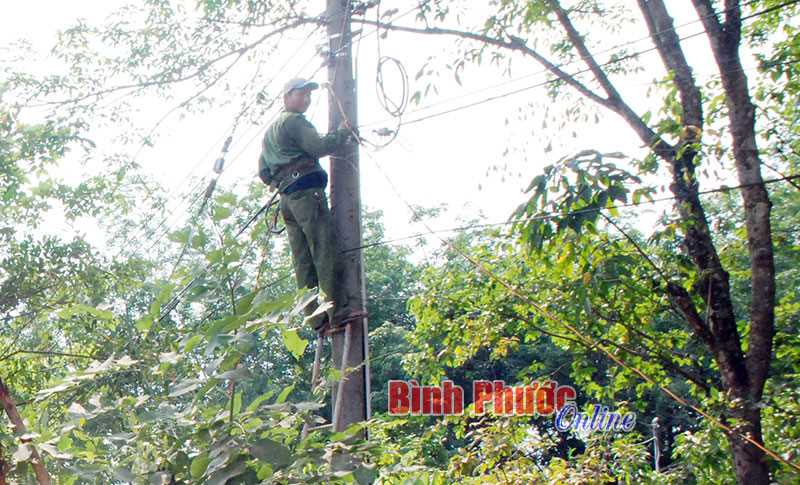Đoàn phường Tân Xuân kéo 500m đèn đường cho dân