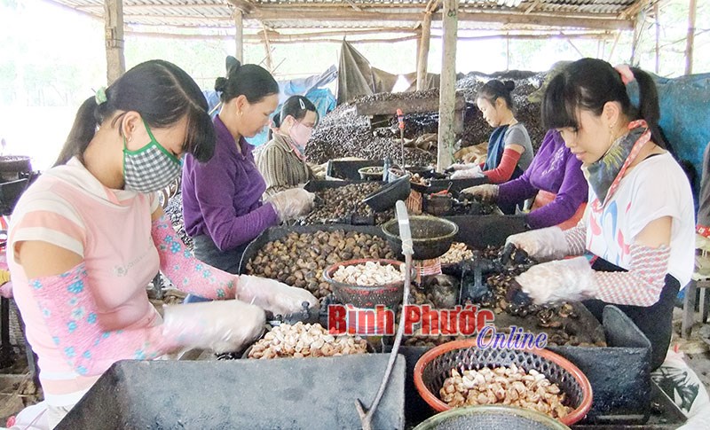 Động lực mới cho phát triển nông nghiệp và nông thôn