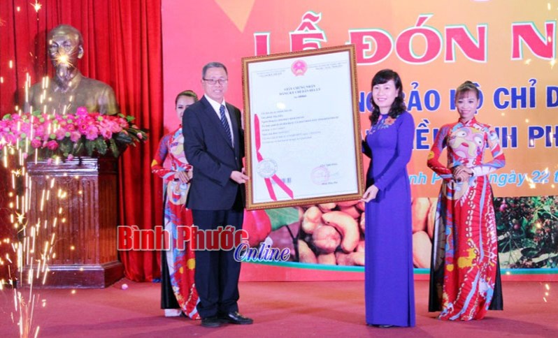 Đón nhận văn bằng bảo hộ chỉ dẫn địa lý “Hạt điều Bình Phước”