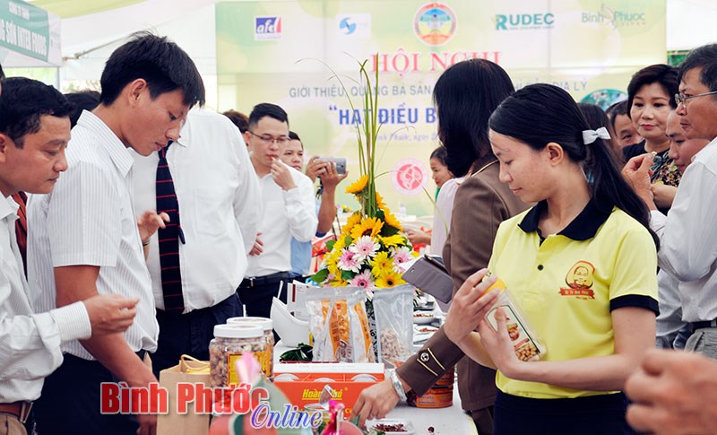 Phát triển ngành điều gắn với chỉ dẫn địa lý “Hạt điều Bình Phước”