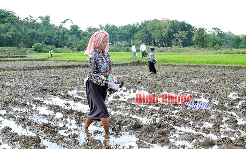 Mục tiêu và nguyên tắc hoạt động khuyến nông
