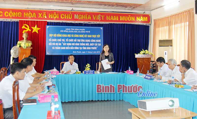 Giống điều l&agrave; vấn đề quan trọng nhất hiện nay