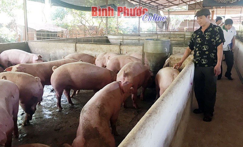 Vai trò của khuyến nông trong phát triển nông nghiệp bền vững