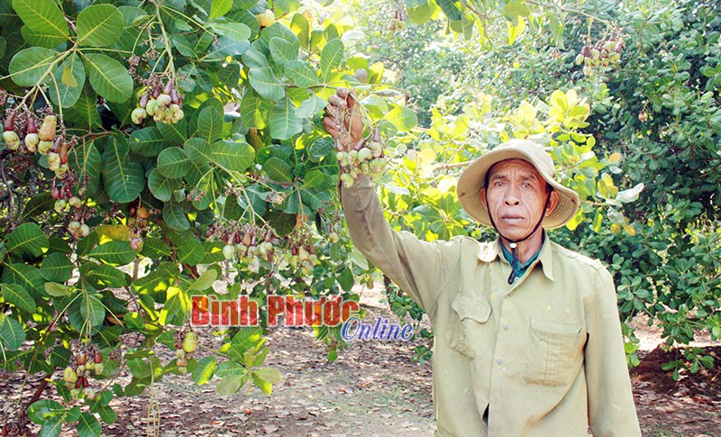 Học v&agrave; l&agrave;m theo B&aacute;c như cựu chiến binh Điểu Hưa