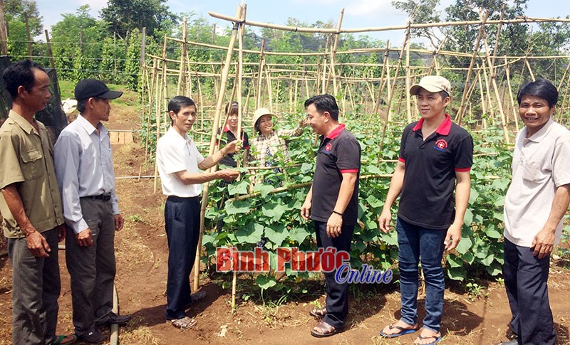 Hội Nông dân Bù Đăng tham gia xây dựng nông thôn mới