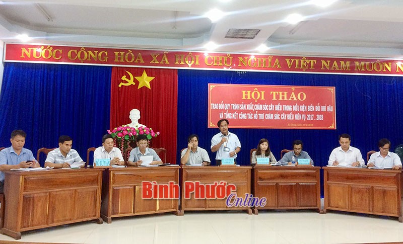 Bù Đăng triển khai hỗ trợ nông dân chăm sóc cây điều niên vụ 2018-2019