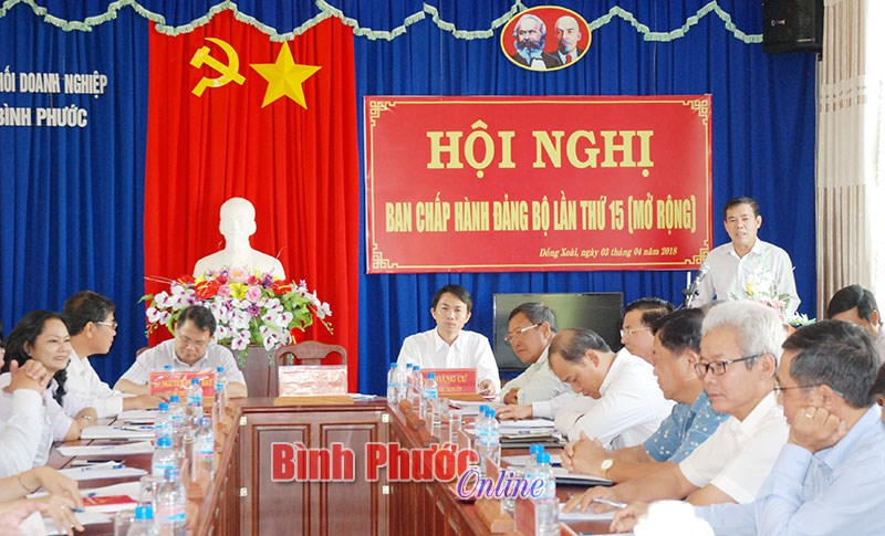 Hội nghị Ban Chấp h&agrave;nh Đảng bộ Khối Doanh nghiệp lần thứ 15