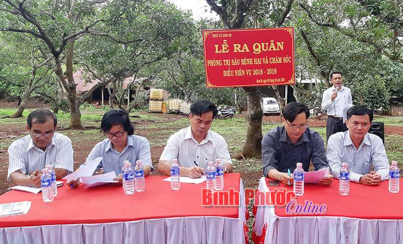 Bù Đăng ra quân phòng trị sâu bệnh vụ điều 2018-2019