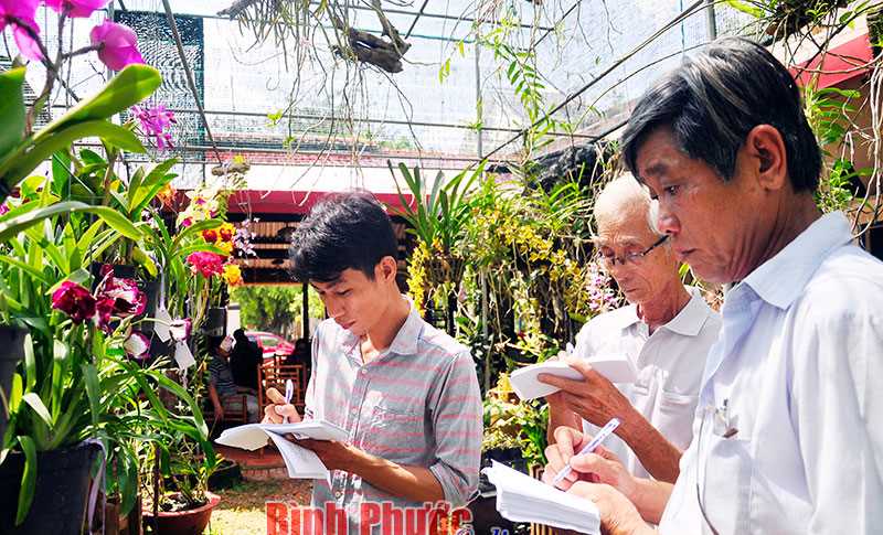 Hội thi hoa lan thị x&atilde; Đồng Xo&agrave;i sẽ diễn ra ng&agrave;y 20 v&agrave; 21-4