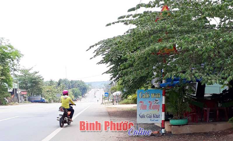 Biển báo giao thông trong lùm cây