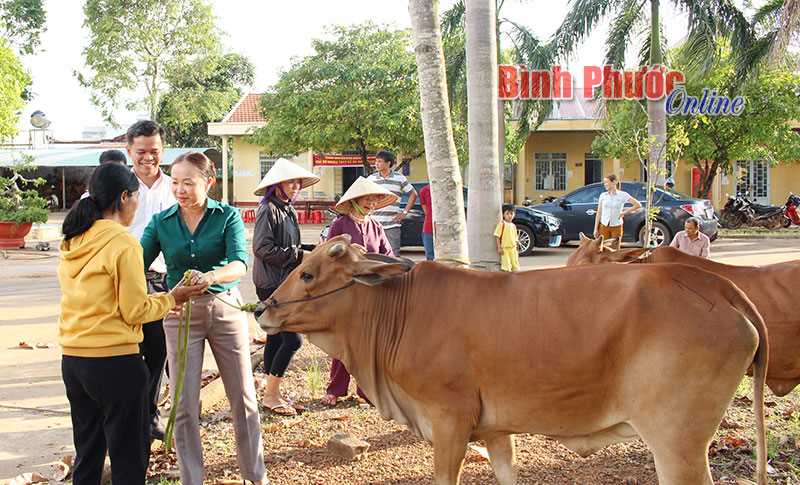 Trao 60 bò giống cho nông dân huyện Phú Riềng