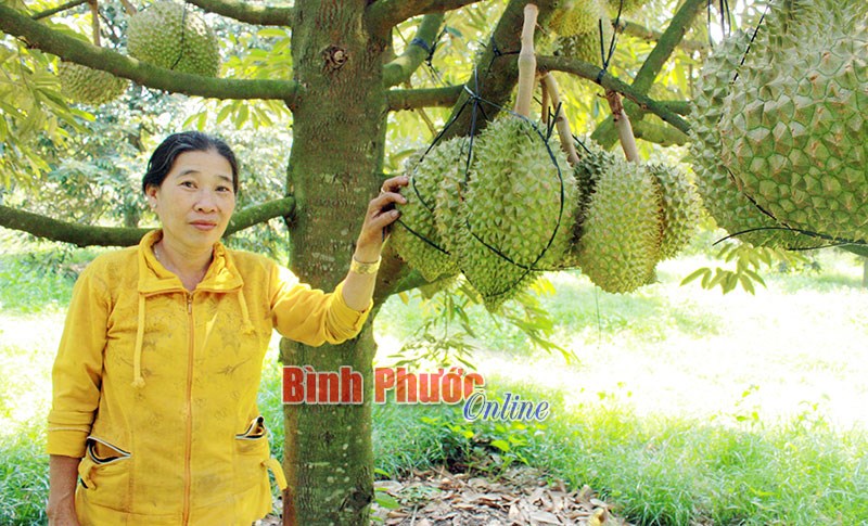 Khi nhà nông dám nghĩ, dám làm