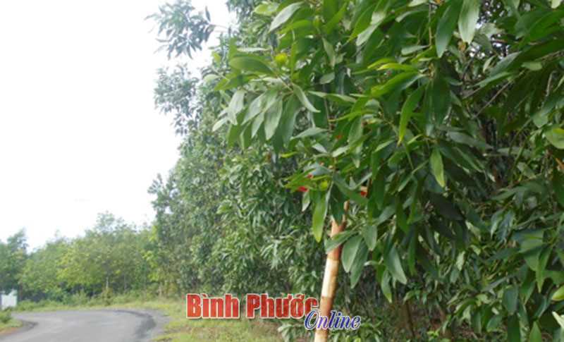 Cần trả lại “đúng nghĩa” cho biển báo