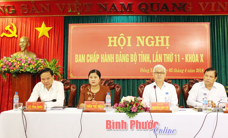Hội nghị Ban Chấp h&agrave;nh Đảng bộ tỉnh lần thứ 11, kh&oacute;a X