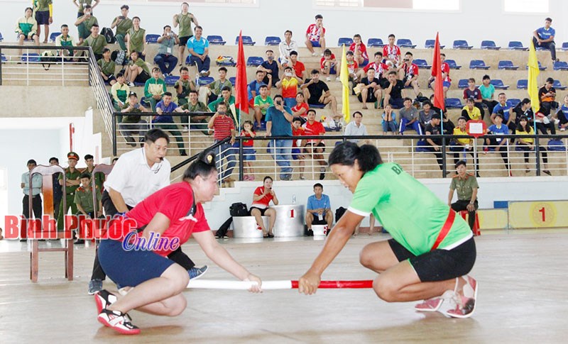 Khai mạc giải vô địch đẩy gậy, kéo co toàn quốc năm 2018