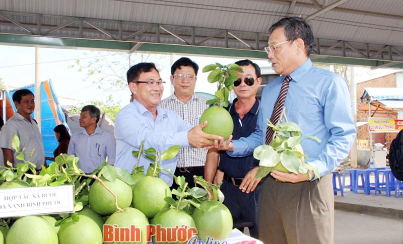 Hội nghị giao thương giữa doanh nghiệp Bình Phước và An Giang