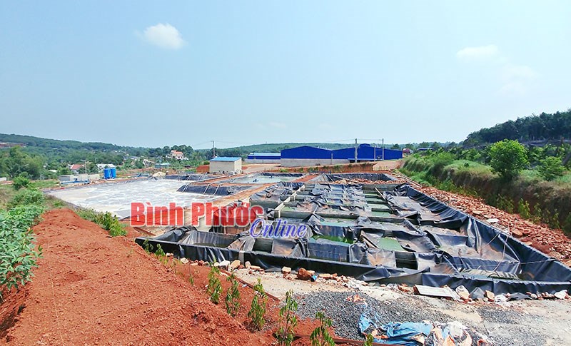 Đưa vào hoạt động nhà máy chế biến mủ cao su chưa được cấp phép: Công ty Thanh Thủy chịu tổn thất lớn
