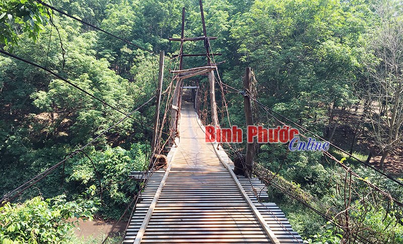 Đánh đu với “tử thần”