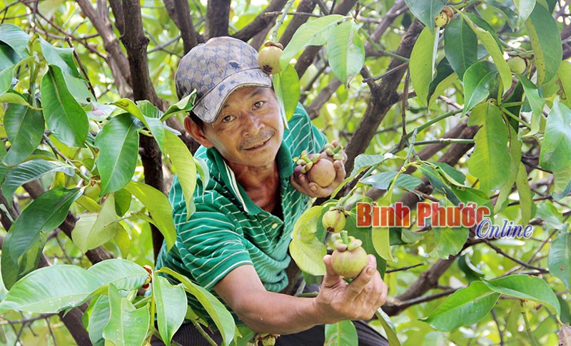 Làm theo Bác ở Phước Long