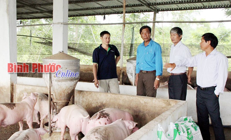 Làm giàu nhờ đổi mới tư duy
