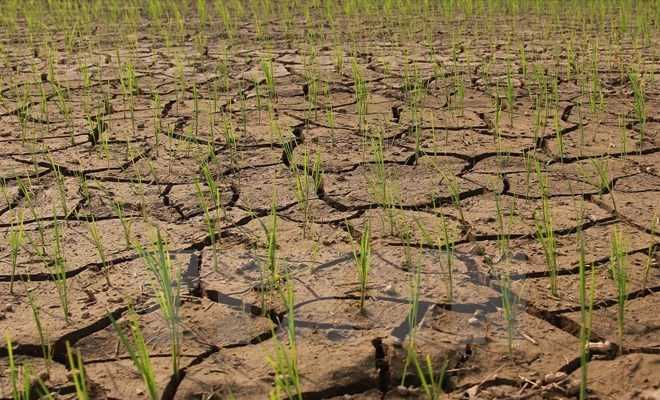 Bù Đốp vẫn khốc liệt trong mùa khô