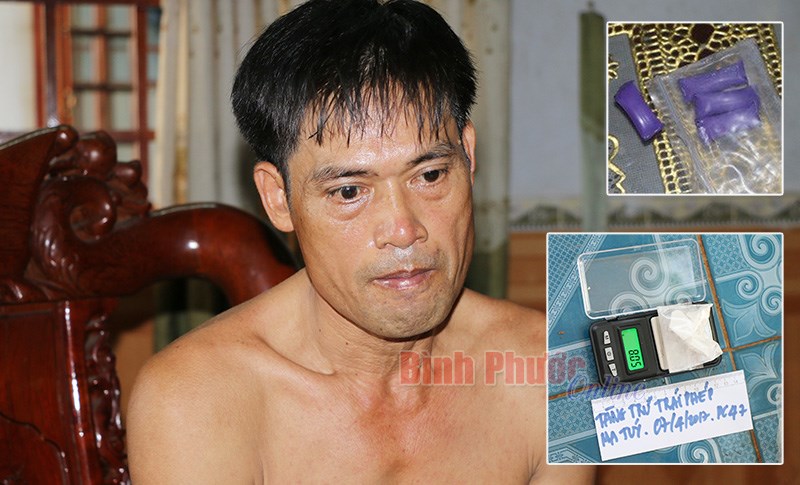 Đề nghị khởi tố điều tra 19 vụ mua b&aacute;n, t&agrave;ng trữ, vận chuyển ph&aacute;o tr&aacute;i ph&eacute;p