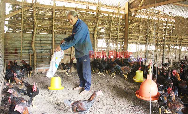 Nhà nông bật mí bí quyết làm giàu 