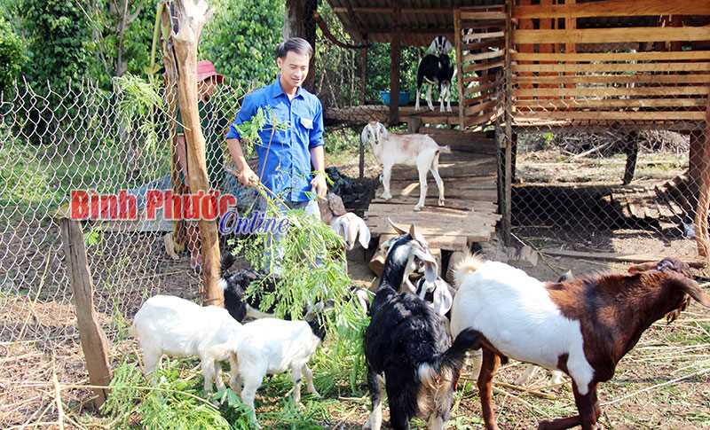 Những thanh ni&ecirc;n l&agrave;m kinh tế giỏi&nbsp;