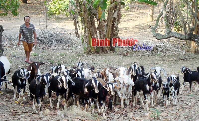 Nông dân Long Thủy thi đua sản xuất - kinh doanh giỏi
