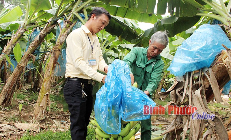 Nông nghiệp thời công nghệ cao - Bài 2