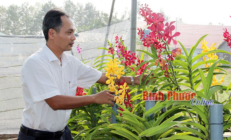 Nông nghiệp thời công nghệ cao - Bài cuối