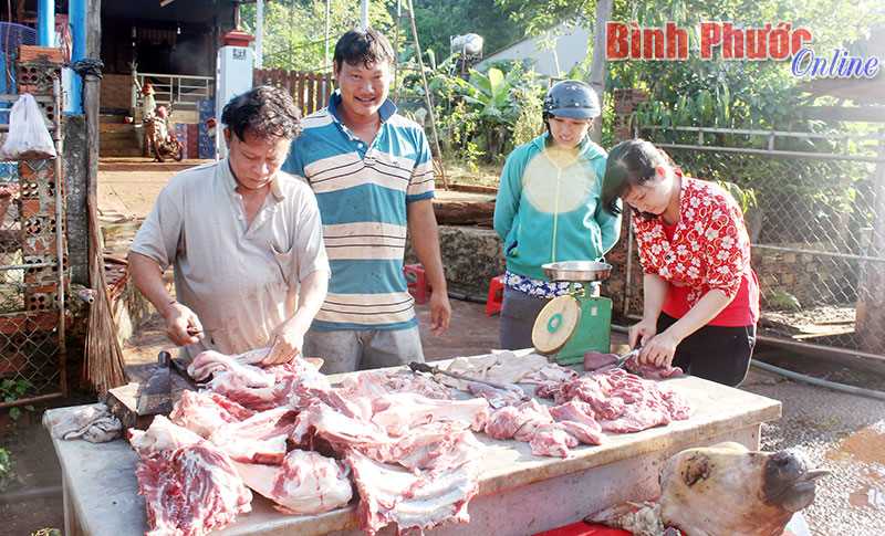 Giá bò thương phẩm giảm sâu