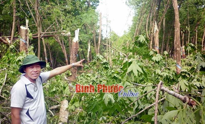Đến 2025, giảm 30% thiệt hại về người trong thiên tai